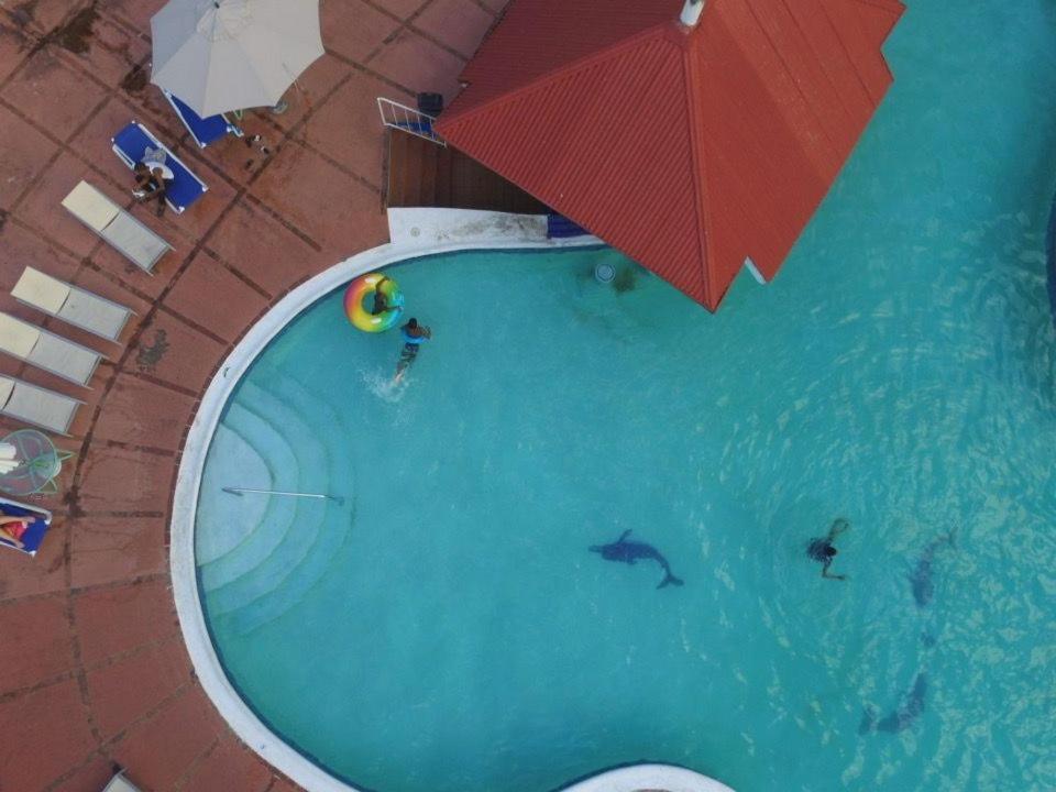 The View At Mystic Ridge Penthouse 78A Lägenhet Ocho Rios Exteriör bild